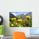 Kirstenbosch botanical garden,Cape Town Wall Mural
