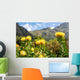 Kirstenbosch botanical garden,Cape Town Wall Mural