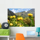 Kirstenbosch botanical garden,Cape Town Wall Mural