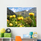 Kirstenbosch botanical garden,Cape Town Wall Mural