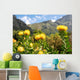 Kirstenbosch botanical garden,Cape Town Wall Mural