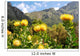 Kirstenbosch botanical garden,Cape Town Wall Mural