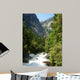 Raging River in Yosemite National Park Wall Mural