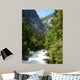 Raging River in Yosemite National Park Wall Mural