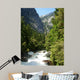 Raging River in Yosemite National Park Wall Mural