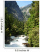 Raging River in Yosemite National Park Wall Mural