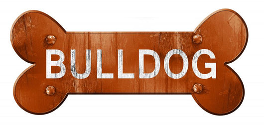 Bulldog 3D Rendering Rough Wall Decal