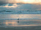 Seagull Beach Winter Wall Decal