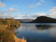 Loch Ness Wall Decal Design 2
