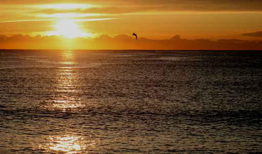 Mediterranean Dawn Wall Decal