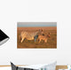 Plains Zebras Wall Decal