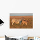 Plains Zebras Wall Decal