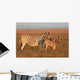Plains Zebras Wall Decal
