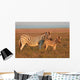 Plains Zebras Wall Decal