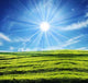 Grassland 001 Wall Decal