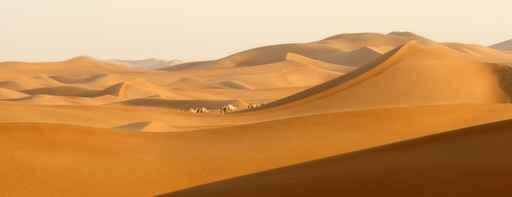 Desert Wanderers Wall Decal