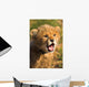Cheetah Cub Wall Decal Design 2