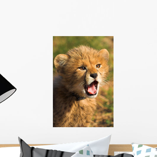 Cheetah Cub Wall Decal Design 2