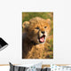 Cheetah Cub Wall Decal Design 2