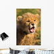 Cheetah Cub Wall Decal Design 2