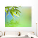 Bamboo Leaves Over Abstract Blurred Background Wall Mural