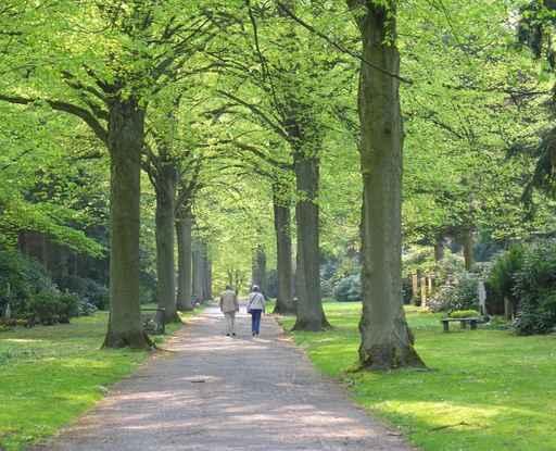 Sunday Walk Wall Decal