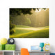 Golf Course Wall Mural