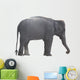 Elefant Wall Decal
