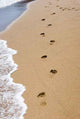 Footprints Beach Wall Decal Design 1