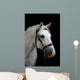 Friendly Grey Andalusian Wall Mural