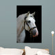 Friendly Grey Andalusian Wall Mural