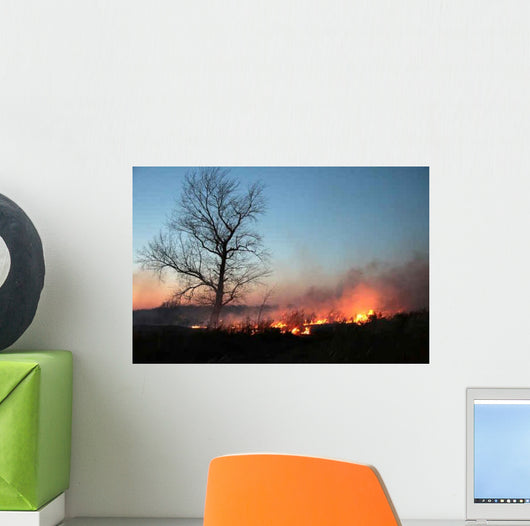 Night Fire Wall Decal