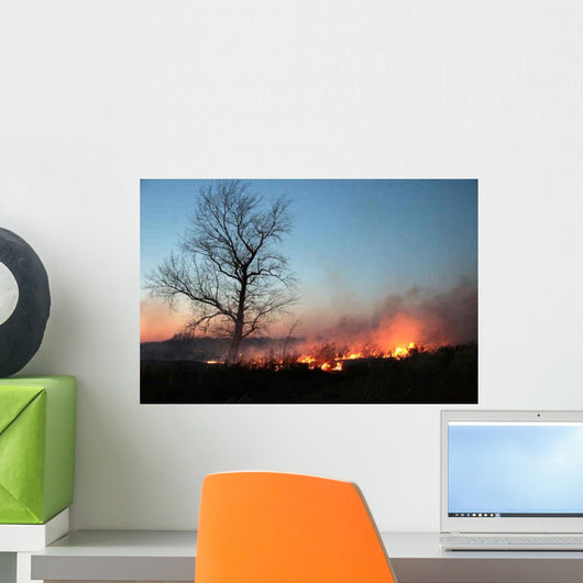 Night Fire Wall Decal