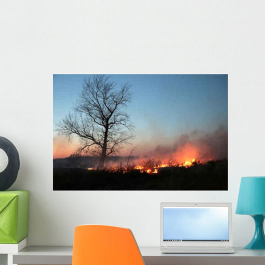 Night Fire Wall Decal