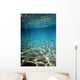 Underwater Wall Decal