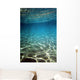 Underwater Wall Decal