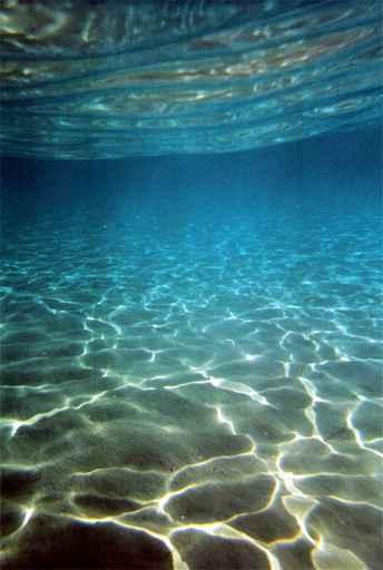 Underwater Wall Decal