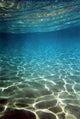 Underwater Wall Decal