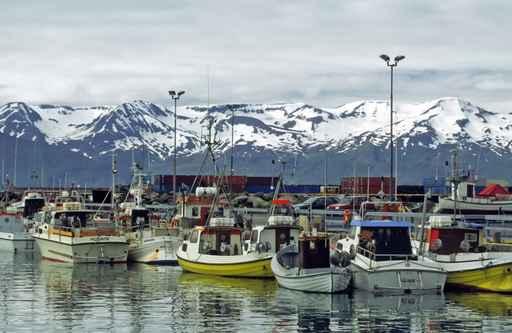 Fishing Port Husavik Wall Decal