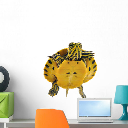 Baby Turtle Wall Decal