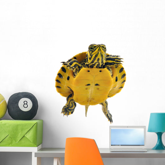 Baby Turtle Wall Decal