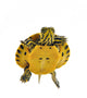 Baby Turtle Wall Decal
