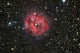 Cocoon Nebula Wall Decal