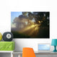 Sun Rays Wall Decal Design 2