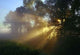 Sun Rays Wall Decal Design 2