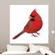 Northern Cardinal Portrait Hand Wall Decal