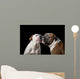 two American Bulldogs, American Bulldog, Dogs plays with the ball Wall Mural