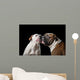 two American Bulldogs, American Bulldog, Dogs plays with the ball Wall Mural