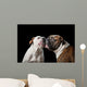 two American Bulldogs, American Bulldog, Dogs plays with the ball Wall Mural