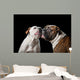 two American Bulldogs, American Bulldog, Dogs plays with the ball Wall Mural
